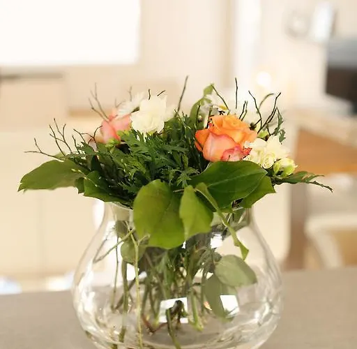 Seevillen Excelsior *