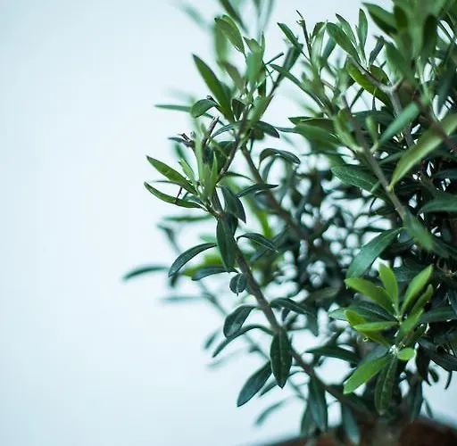 Seevillen Excelsior Velden am Woerthersee